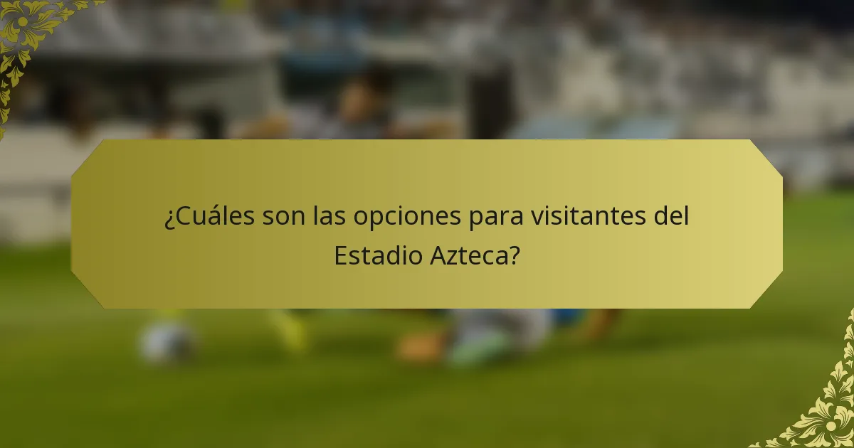 ¿Cuáles son las opciones para visitantes del Estadio Azteca?